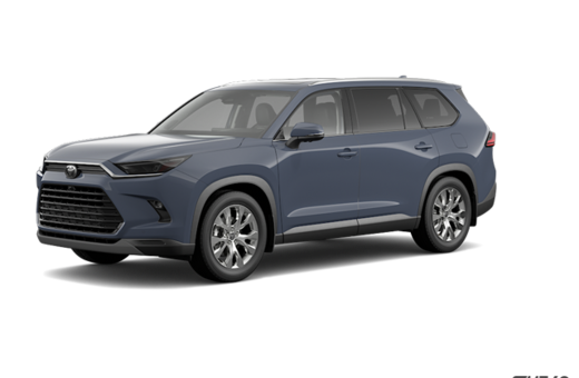 2025   Limited
