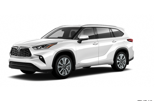 2025   Hybrid Limited