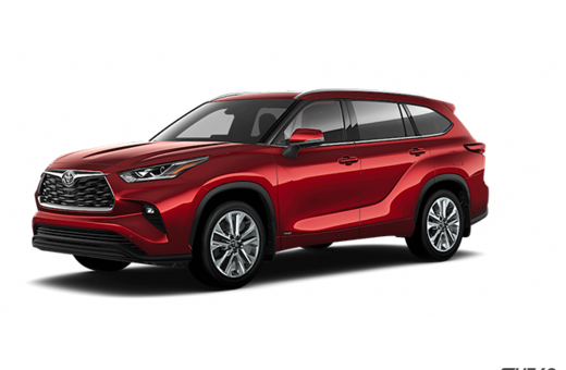 2025   Hybrid Limited