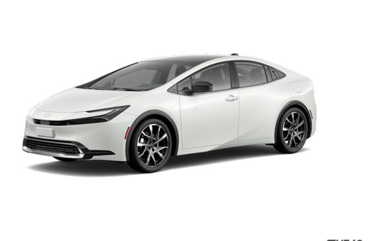 2025   XSE