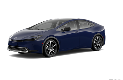 2025   XSE