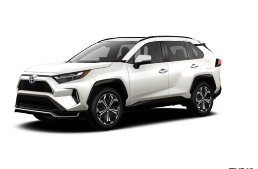 2025   XSE