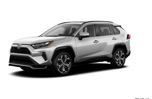 2025   XSE