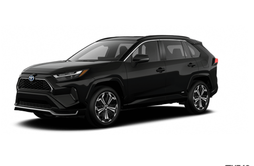 2025   XSE