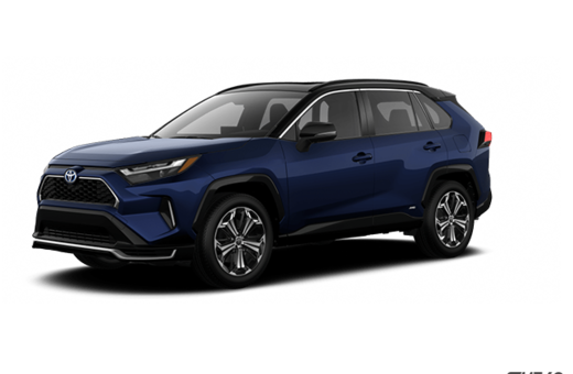 2025   XSE