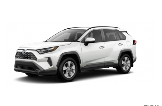 2025   Hybrid XLE
