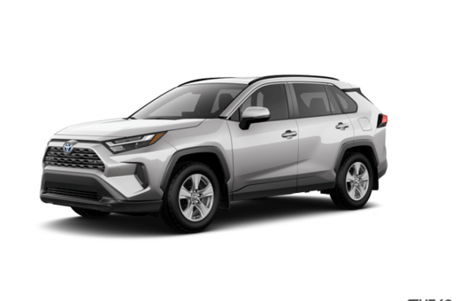 2025   Hybrid XLE