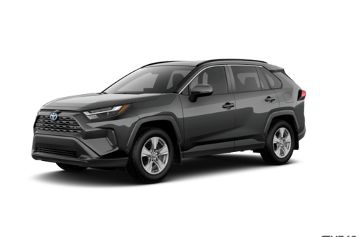 2025   Hybrid XLE