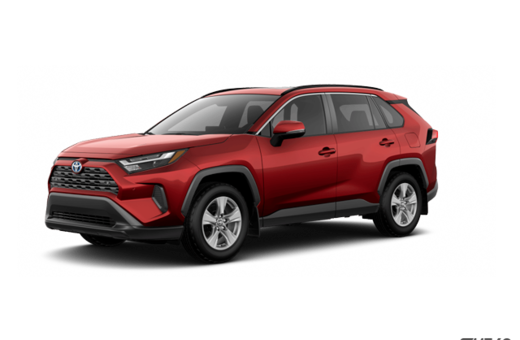 2025   Hybrid XLE