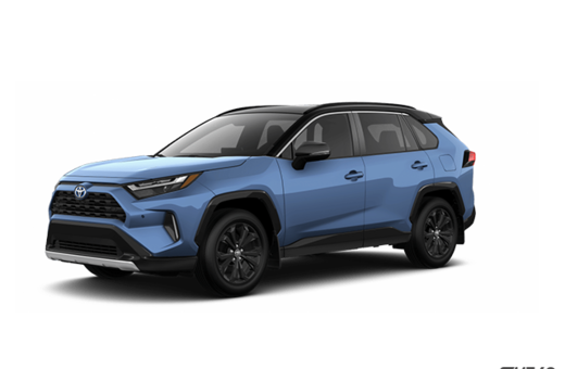 2025   Hybrid XSE