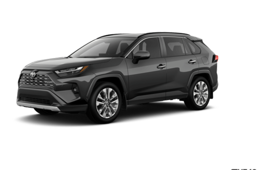 2025   Limited