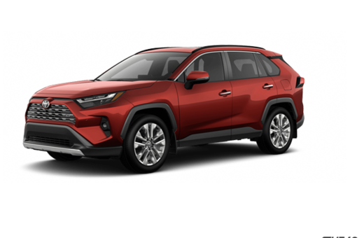 2025   Limited
