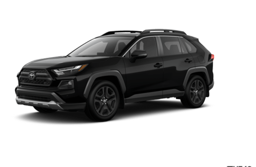2025   Trail