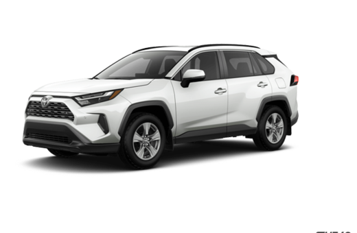 2025   XLE