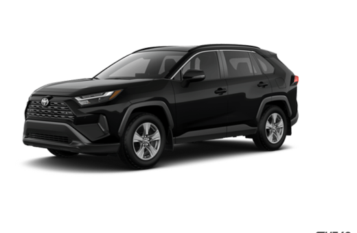 2025   XLE