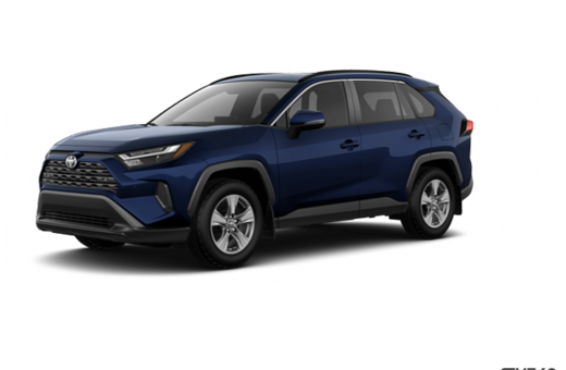 2025   XLE