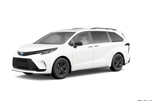 2025   XSE
