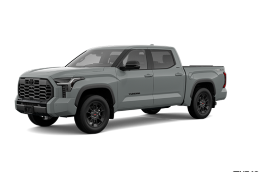 2025   Limited Hybrid