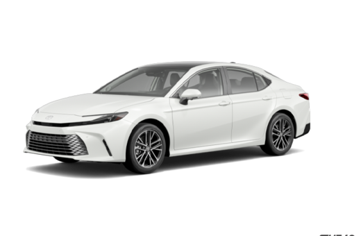 2026   XLE