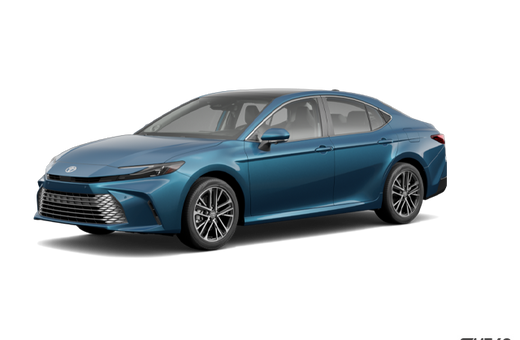 2026   XSE