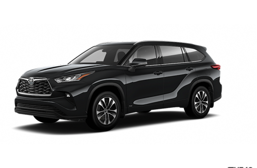 2026   Hybrid XLE