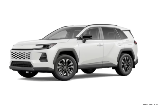2026   LIMITED