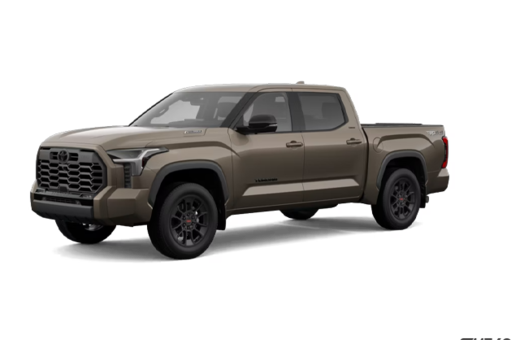 2026   LIMITED TRD OFF ROAD