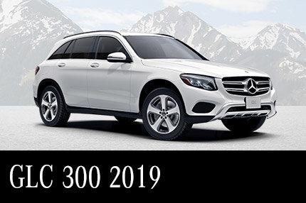 GLC 300 2019