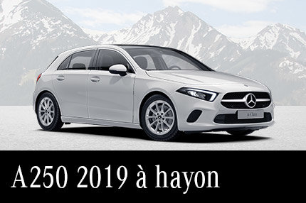 A250 2019