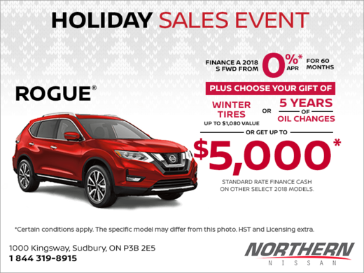 Get the 2019 Rogue today!