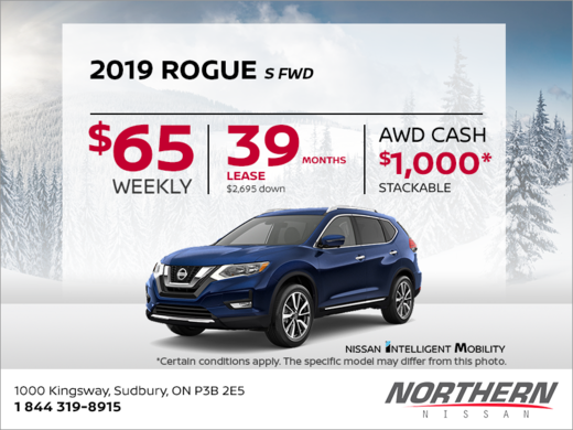 Get the 2019 Rogue Today!