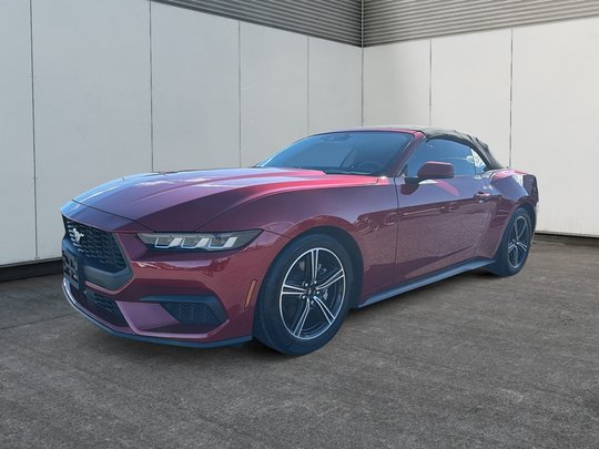 Ford Mustang convertible Premium Convertible 2024