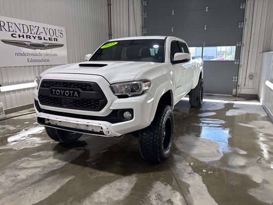 Toyota TACOMA DBL CAB SR5/TRD  2023