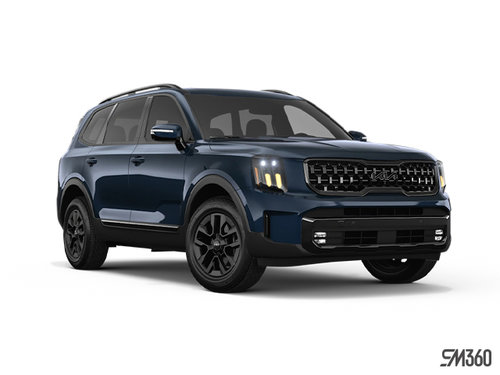 2025 Kia Telluride X-PRO photo-3
