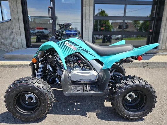 2025 Yamaha RAPTOR 110