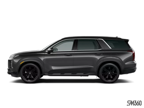 Gris graphite