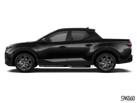 Noir Twilight