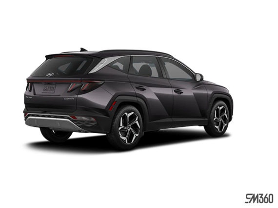 Gris titan