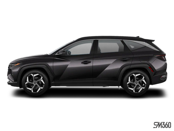 Gris titan