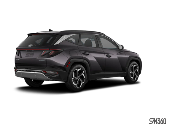 Gris titan