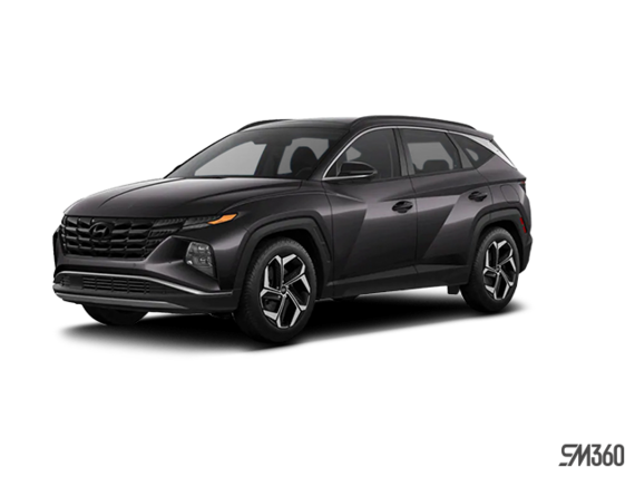 Gris titan