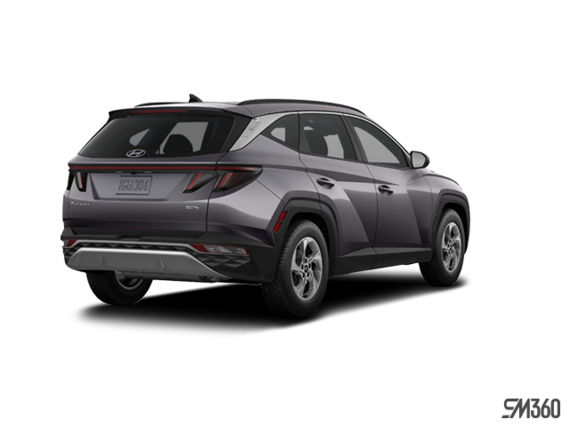 Gris titan