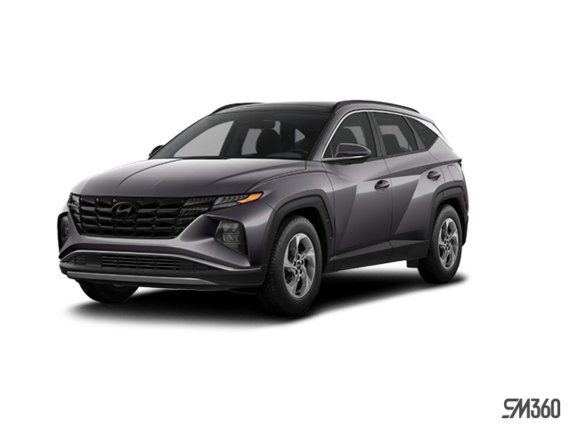 Gris titan