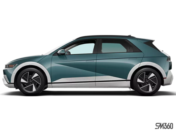 Sarcelle électro perlé