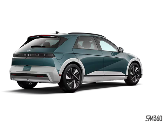 Sarcelle électro perlé