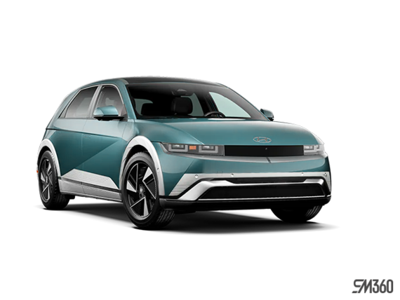 Sarcelle électro perlé