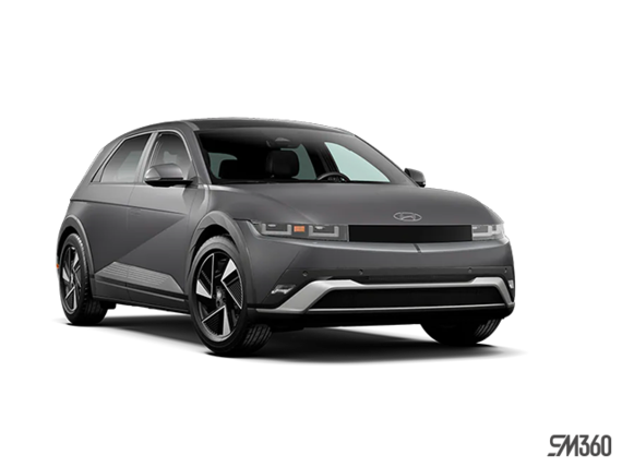 Gris écotronique (mat)