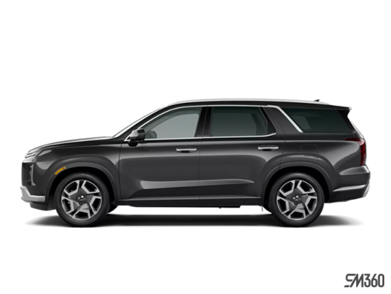 Gris graphite
