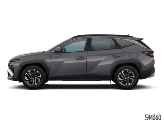 Gris titan