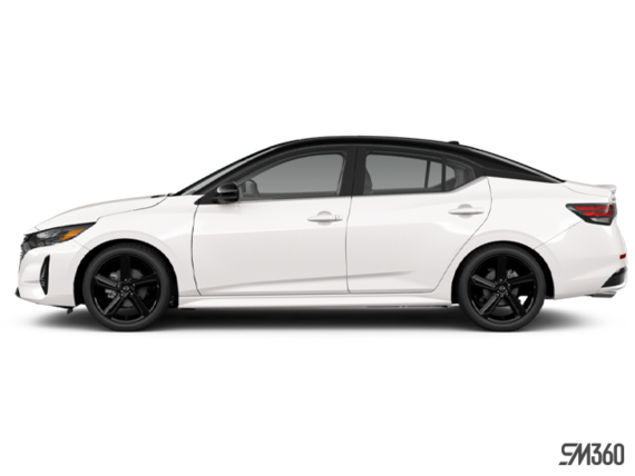 Noir intense/Blanc d'Aspen